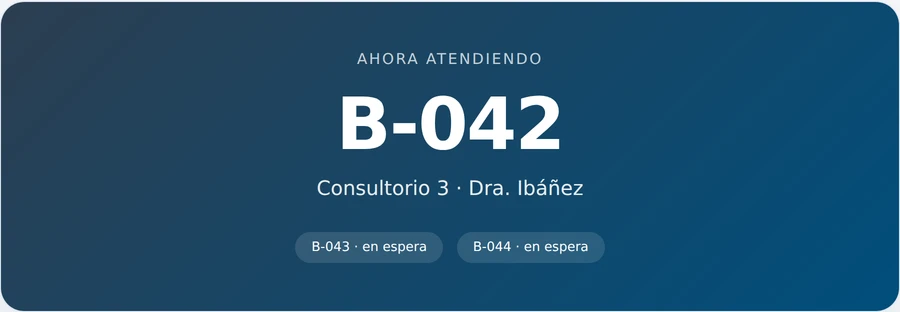 Pantalla del Llamador de Pacientes mostrando el turno atendido y la cola de espera